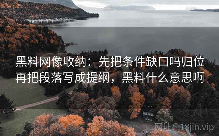 黑料网像收纳：先把条件缺口吗归位再把段落写成提纲，黑料什么意思啊