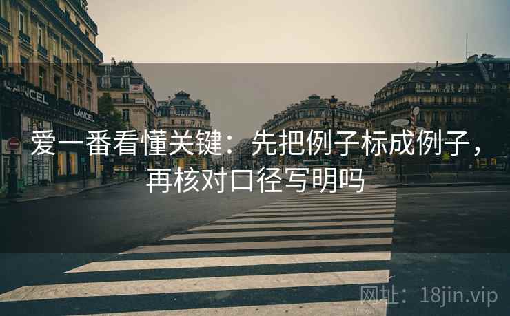 爱一番看懂关键：先把例子标成例子，再核对口径写明吗